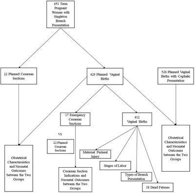 Term breech presentation vaginal births in Tibet: A retrospective analysis of 451 cases